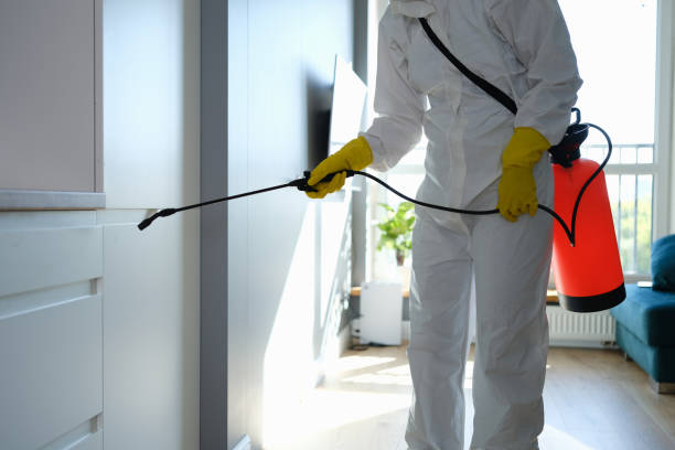 Best Bathroom Mold Remediation in South Rockwood, MI