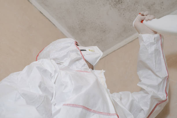 Best Mold Testing and Inspection Services in South Rockwood, MI